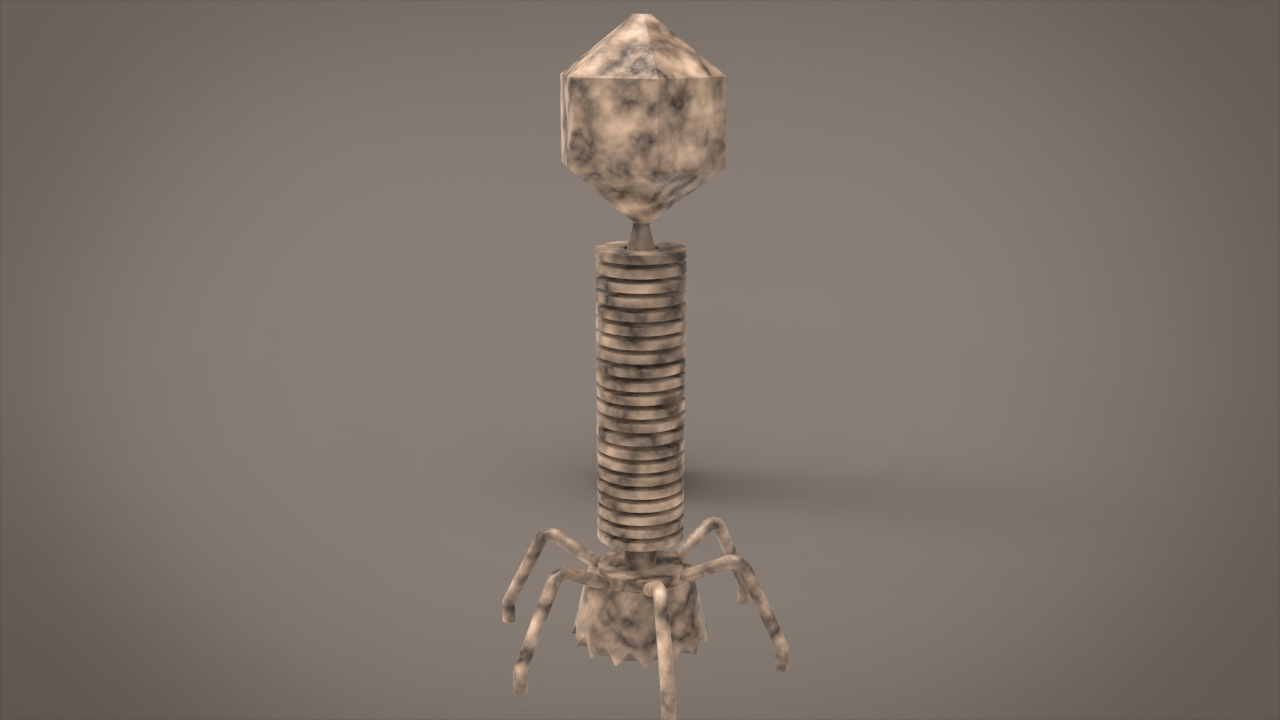 T2噬菌體.jpg T2噬菌體.jpg