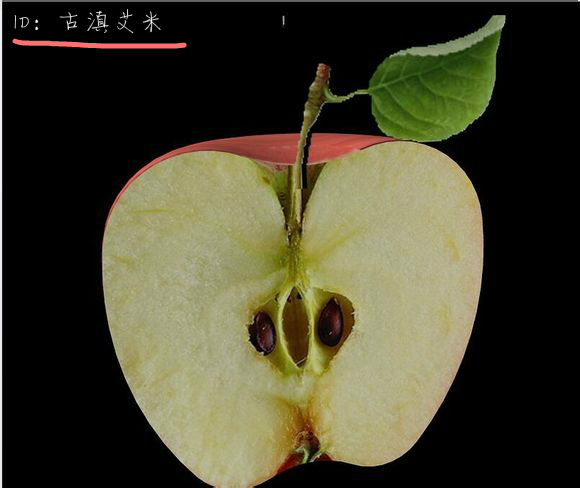 image013.jpg CAD渲染材質(zhì)的四種貼圖詳細(xì)解釋