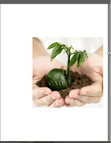 CAD中的圖片的邊框怎么去除? CAD中的圖片的邊框怎么去除?