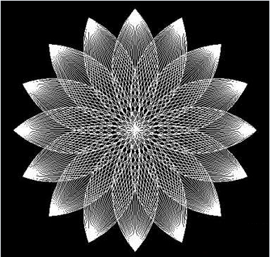 用CAD如何畫荷花 用CAD如何畫荷花