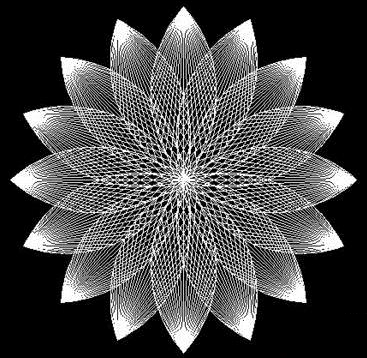 CAD荷花的繪制方法 CAD荷花的繪制方法