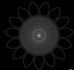 CAD畫向日葵的步驟 CAD畫向日葵的步驟